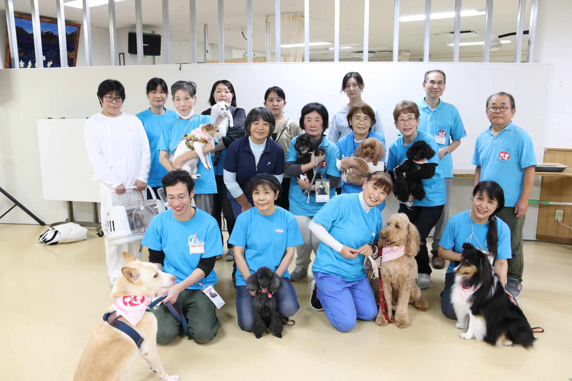 volunteer-2